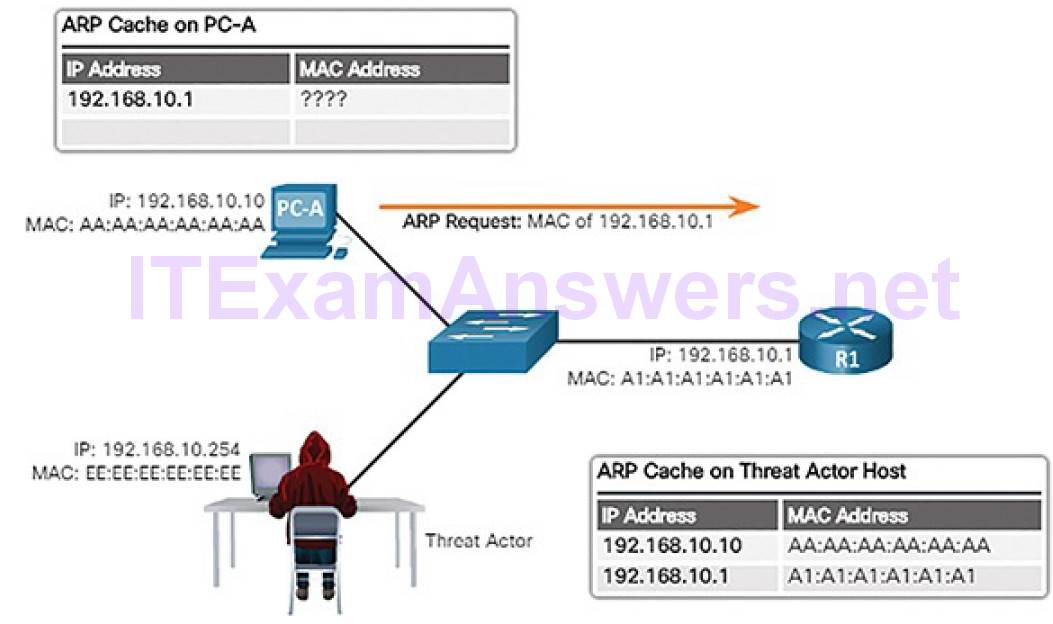 CCNA Cyber Ops (Version 1.1) – Chapter 7: Network Attacks: A Deeper Look 49