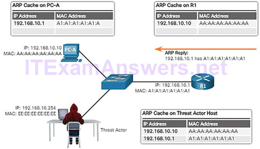 CCNA Cyber Ops (Version 1.1) – Chapter 7: Network Attacks: A Deeper Look 50