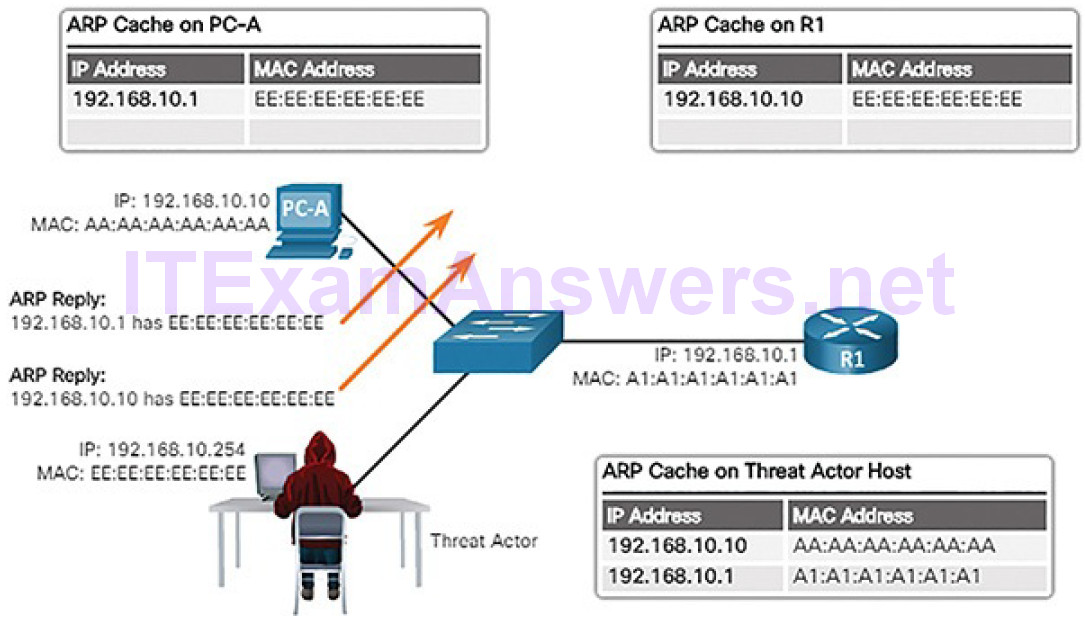 CCNA Cyber Ops (Version 1.1) – Chapter 7: Network Attacks: A Deeper Look 51
