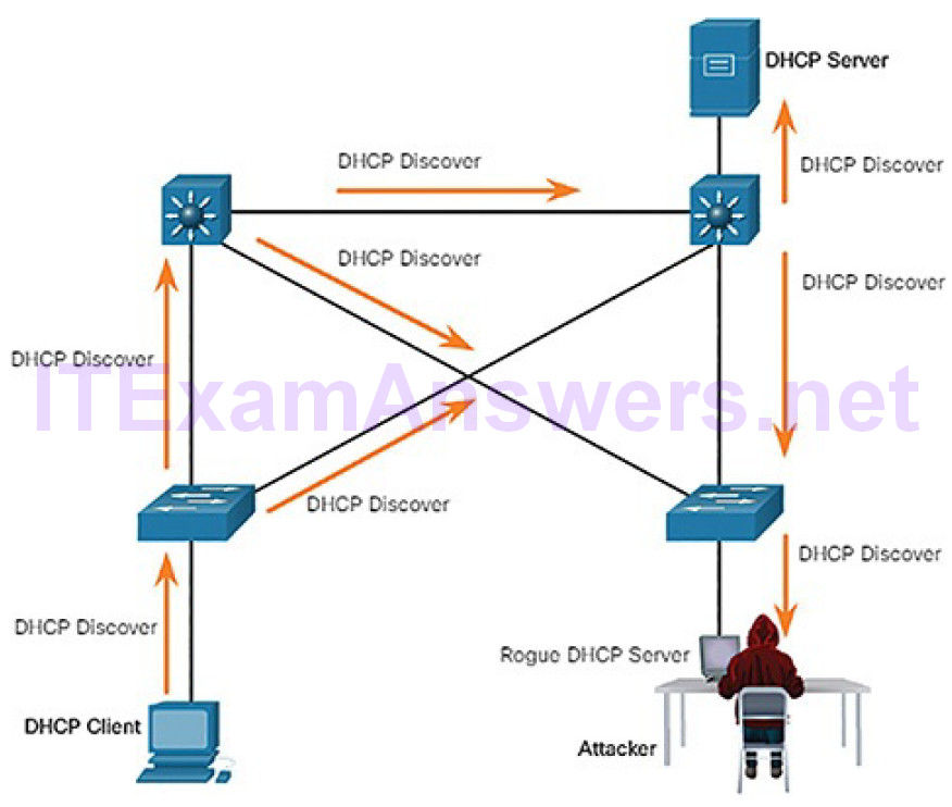CCNA Cyber Ops (Version 1.1) – Chapter 7: Network Attacks: A Deeper Look 53