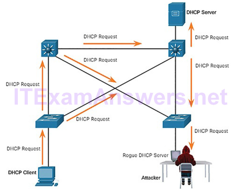 CCNA Cyber Ops (Version 1.1) – Chapter 7: Network Attacks: A Deeper Look 55