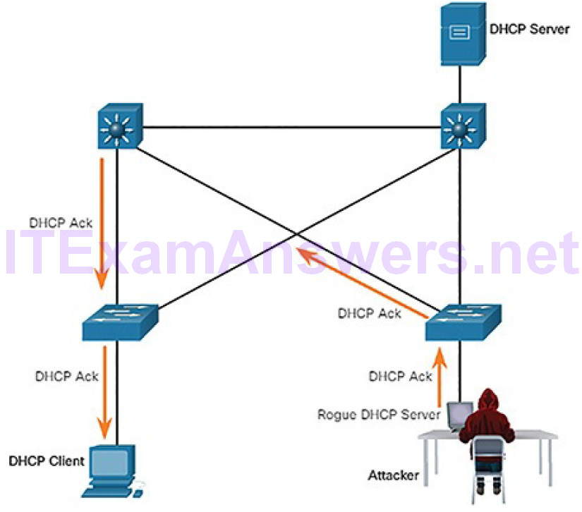 CCNA Cyber Ops (Version 1.1) – Chapter 7: Network Attacks: A Deeper Look 56