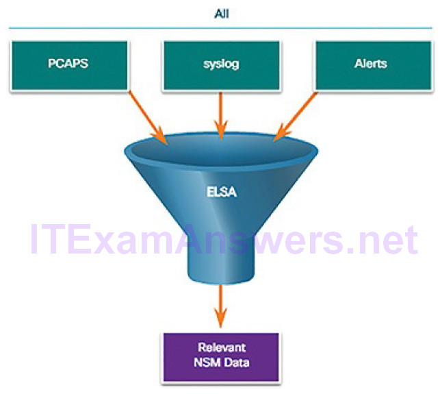 CCNA Cyber Ops (Version 1.1) – Chapter 12: Intrusion Data Analysis 26