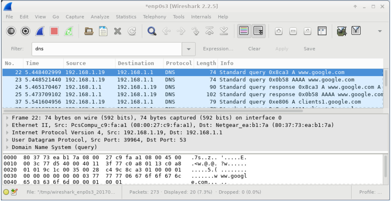 4.6.2.7 Lab – Using Wireshark to Examine a UDP DNS Capture (Instructor Version) 3