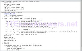 using wireshark to examine a udp dns capture