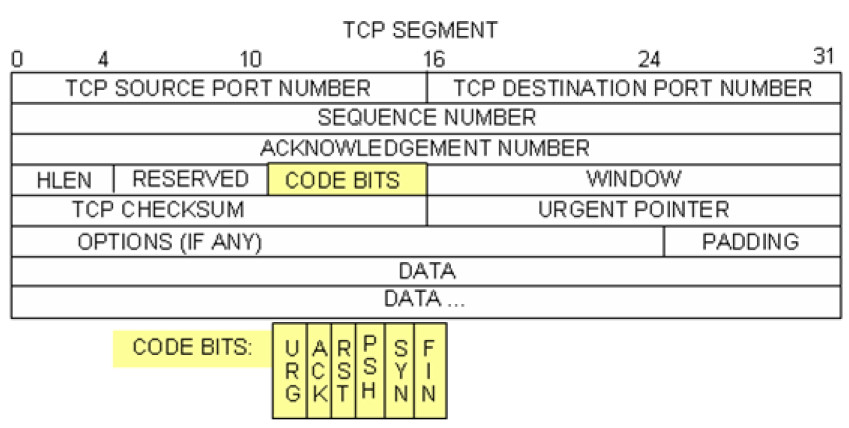 4.6.4.3 Lab – Using Wireshark to Examine TCP and UDP Captures (Instructor Version) 6