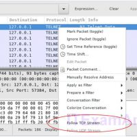 9.1.1.8 Lab – Examining Telnet and SSH in Wireshark (Instructor Version) 34