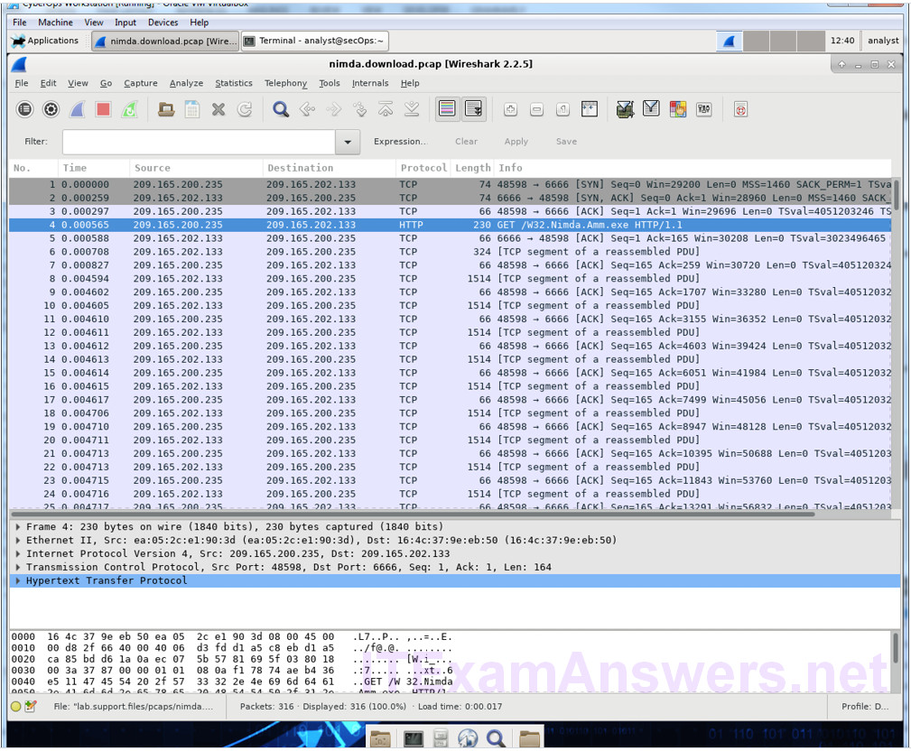 12.2.2.10 Lab – Extract an Executable from a PCAP (Instructor Version) 4