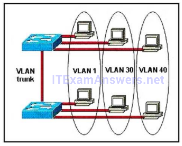 Section II: LAN Switching Technologies - Test Online 50