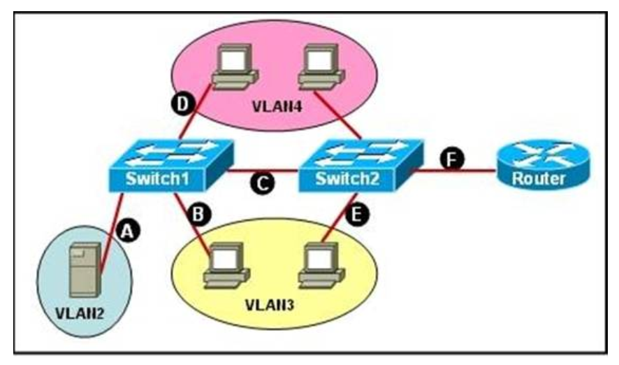 Section II: LAN Switching Technologies - Test Online 62