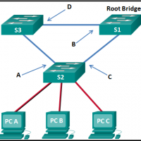 CCNA 2 v7 Modules 5 - 6: Redundant Networks Exam Answers 1