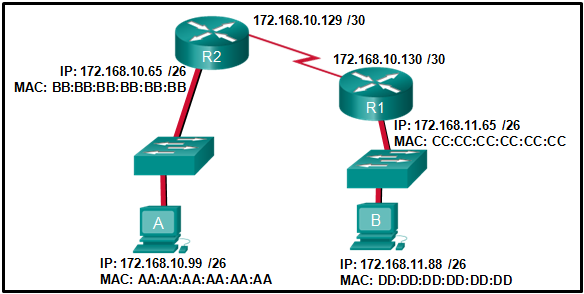 CCNA 1 v7.0 Final Exam Answers Full - Introduction to Networks 28