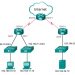CCNA 3 v7.0 Final Exam Answers Full - Enterprise Networking, Security, and Automation 48