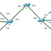 Packet Tracer - Configure Trunks