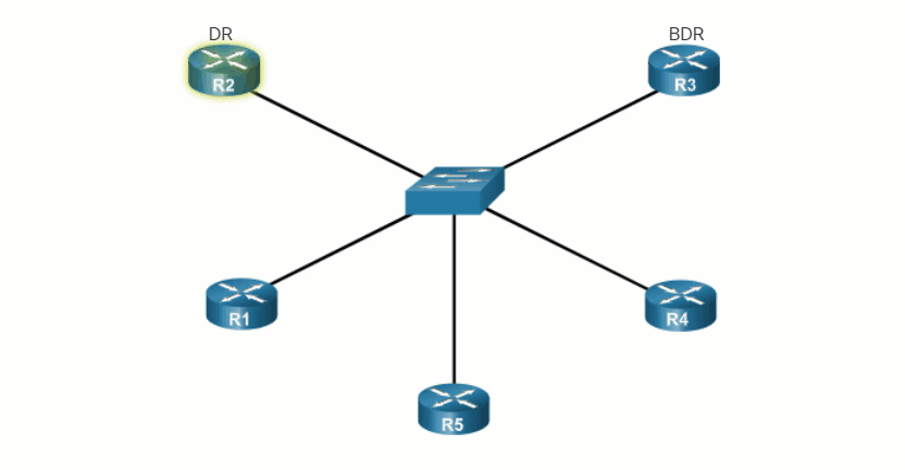 CCNA 3 v7.0 Curriculum: Module 1 - Single-Area OSPFv2 Concepts 46