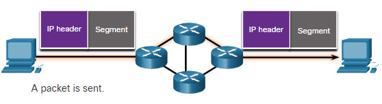 CCNA 1 v7.0 Curriculum: Module 8 - Network Layer 27