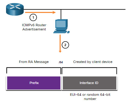 CCNA 1 v7.0 Curriculum: Module 12 - IPv6 Addressing 50