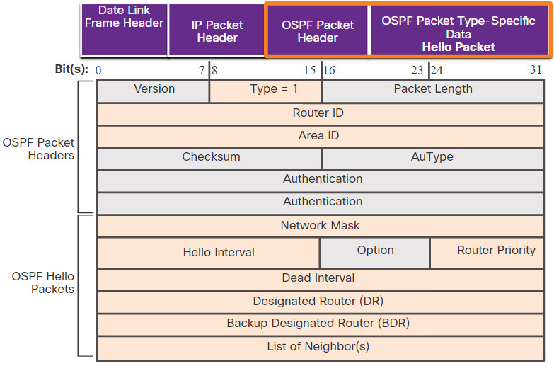 CCNA 3 v7.0 Curriculum: Module 1 - Single-Area OSPFv2 Concepts 36