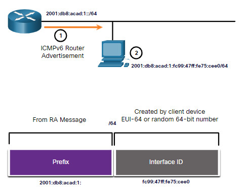 CCNA 1 v7.0 Curriculum: Module 12 - IPv6 Addressing 47