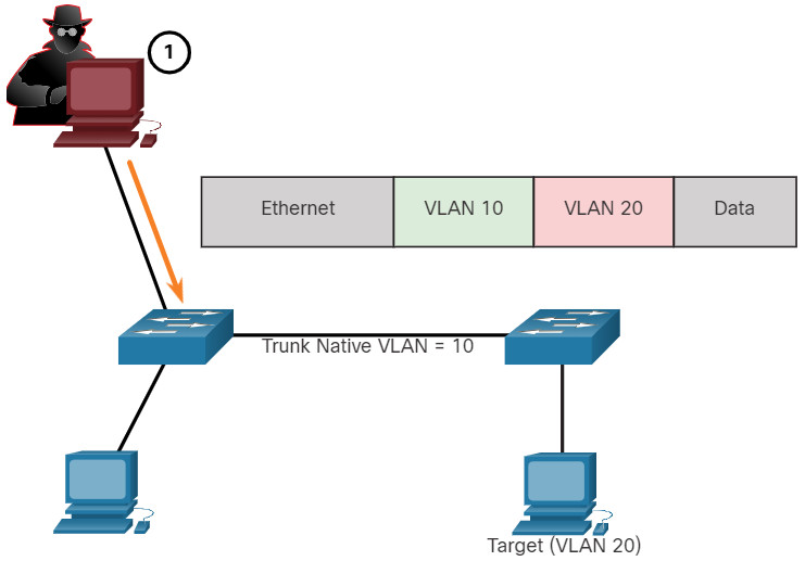 CCNA 2 v7.0 Curriculum: Module 10 - LAN Security Concepts 49