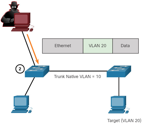 CCNA 2 v7.0 Curriculum: Module 10 - LAN Security Concepts 50