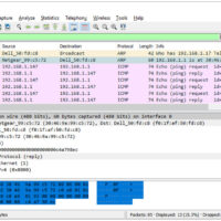 7.1.6 Lab - Use Wireshark to Examine Ethernet Frames (Answers) 11