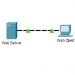 3.5.5 Packet Tracer - Investigate the TCP-IP and OSI Models in Action