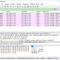 3.7.10 Lab - Use Wireshark to View Network Traffic (Answers) 15