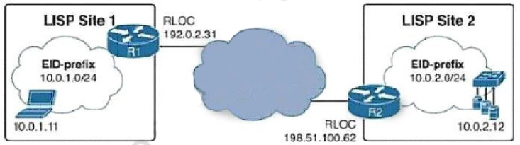 350-401 Online Test