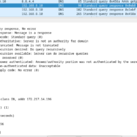 10.2.7 Lab - Using Wireshark to Examine a UDP DNS Capture (Answers) 29