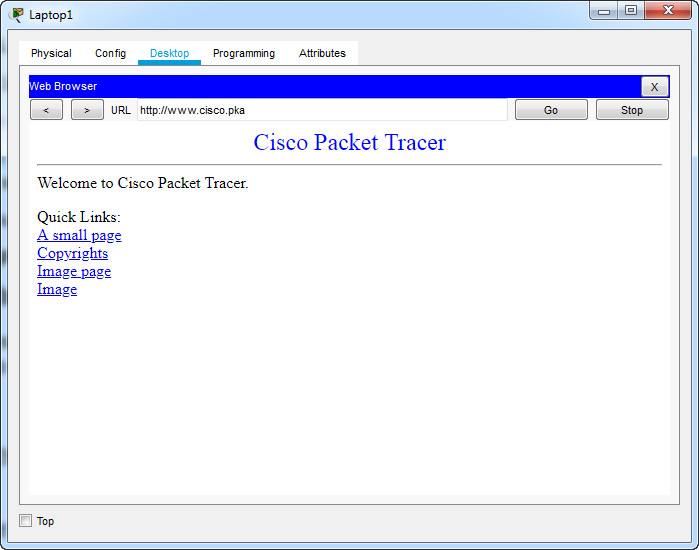 6.1.3.9 Packet Tracer - Connect to a Wireless Network (Answers) 7