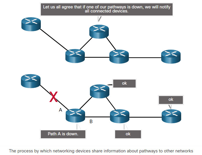 CyberOps Associate: Module 5 – Network Protocols 43