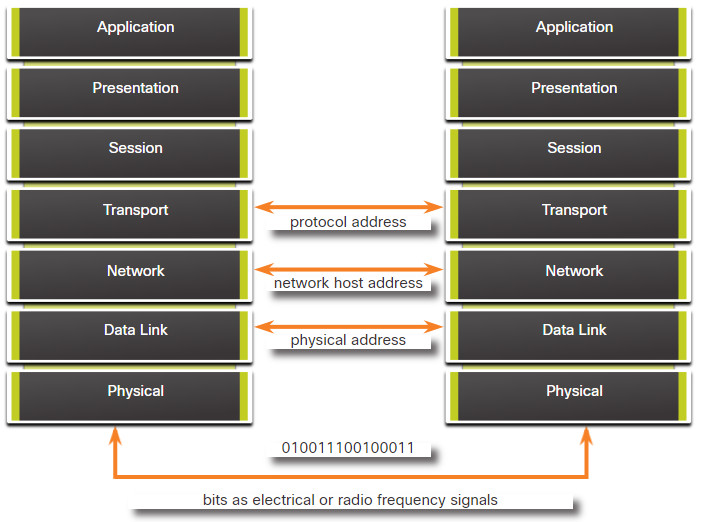 CyberOps Associate: Module 5 – Network Protocols 60