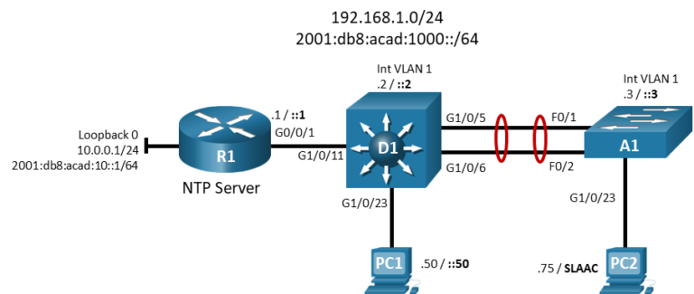 24.1.4 Lab - Implement Flexible Netflow (Answers)