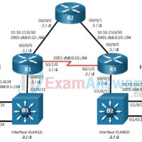 1.1.3 Lab - Troubleshoot IPv4 and IPv6 Static Routing (Answers) 1