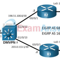 20.1.2 Lab - Configure Secure DMVPN Tunnels (Answers) 7
