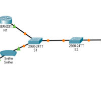 11.4.6 Packet Tracer – Implement a Local SPAN