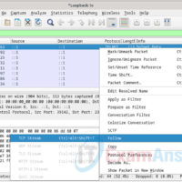 16.3.12 Lab - Examining Telnet and SSH in Wireshark Answers 14