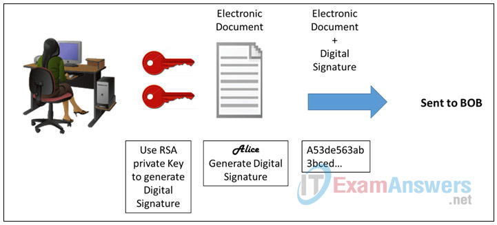 5.2.2.4 Lab - Using Digital Signatures (Answers Solution) 3
