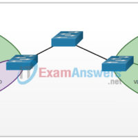 3.2.9 Check Your Understanding - VLANs in a Multi-Switch Environment Answers 5