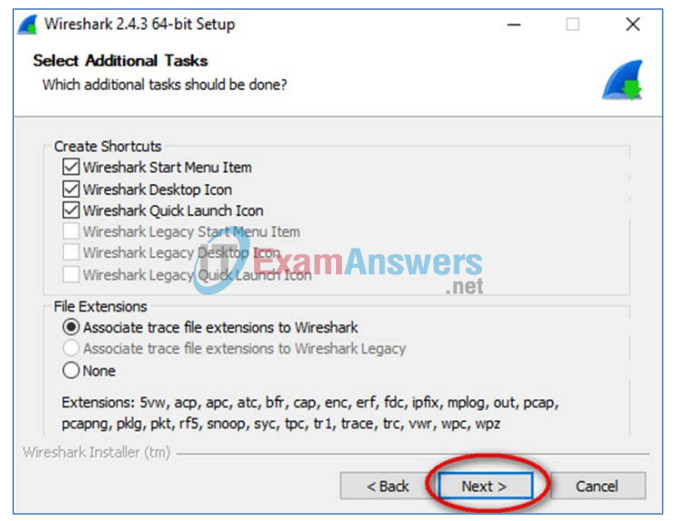 3.4.1.1 Lab - Installing Wireshark Answers 19