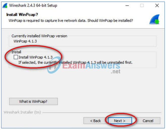 3.4.1.1 Lab - Installing Wireshark Answers 21