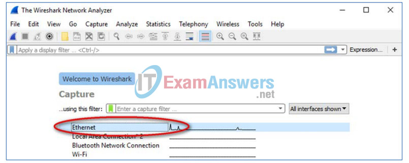 3.4.1.2 Lab - Using Wireshark to View Network Traffic Answers 33