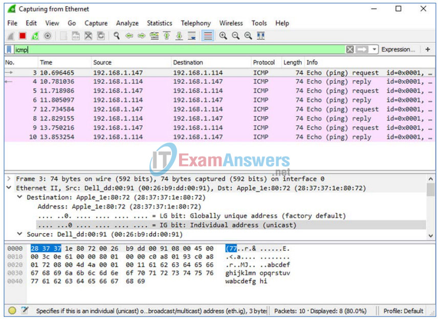 3.4.1.2 Lab - Using Wireshark to View Network Traffic Answers 42