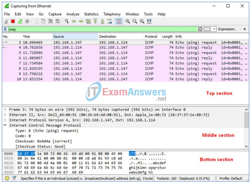 3.4.1.2 Lab - Using Wireshark to View Network Traffic Answers 44
