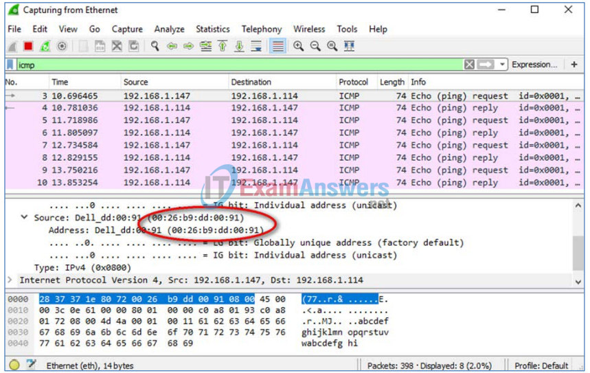 3.4.1.2 Lab - Using Wireshark to View Network Traffic Answers 46