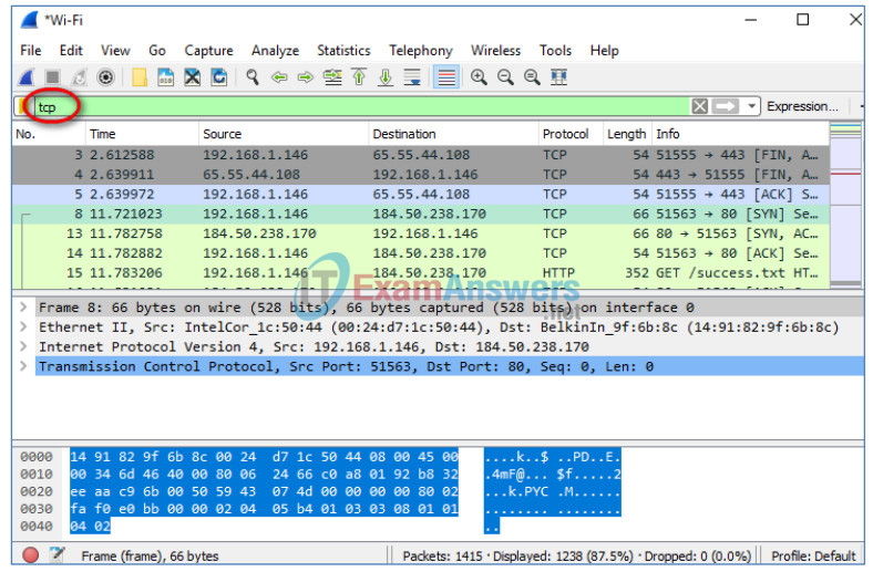 9.2.1.6 Lab - Using Wireshark to Observe the TCP 3-Way Handshake Answers 17