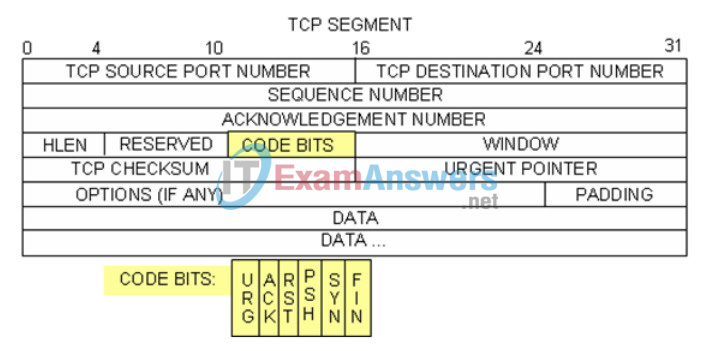 9.2.4.3 Lab - Using Wireshark to Examine TCP and UDP Captures Answers 31
