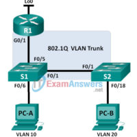 6.3.3.7 Lab - Configuring 802.1Q Trunk-Based Inter-VLAN Routing Answers 1