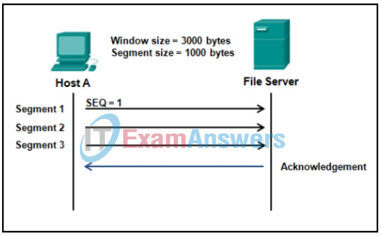 Networking Devices and Initial Configuration Module 7 - 9 Checkpoint Exam 15